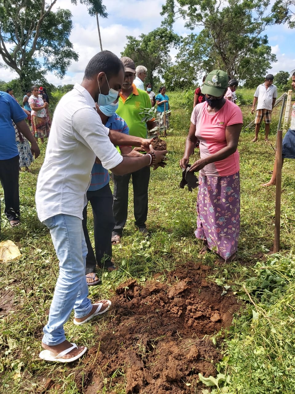 TREE PLANTING – Lanka Fundamental Rights Organization