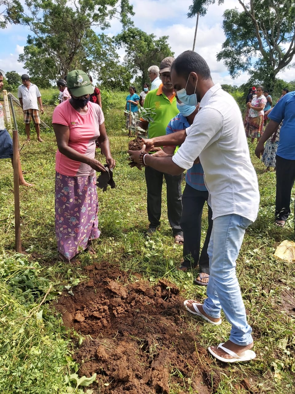 TREE PLANTING – Lanka Fundamental Rights Organization