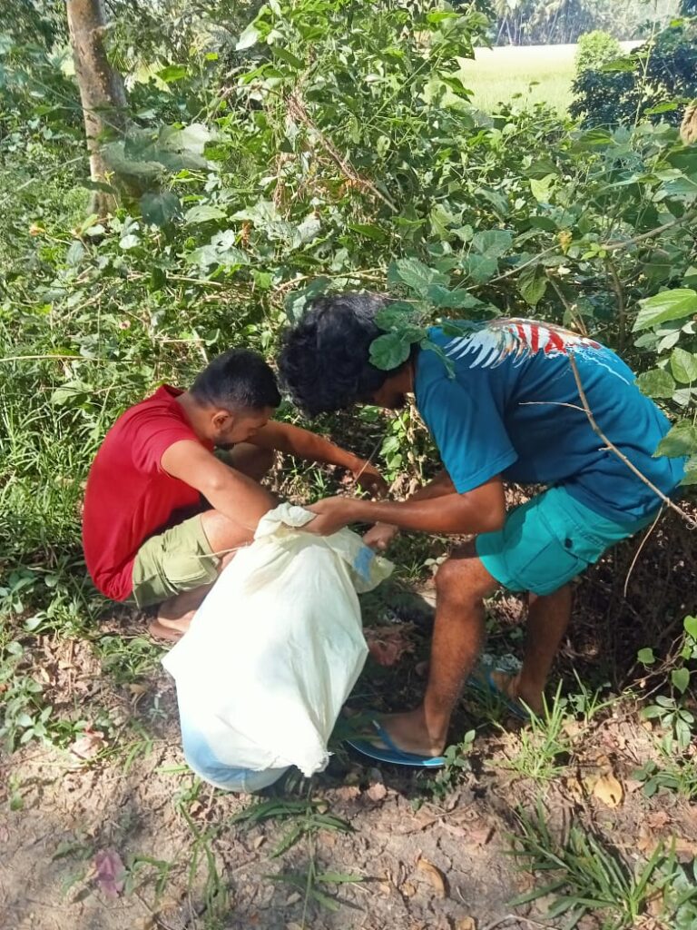 Environment