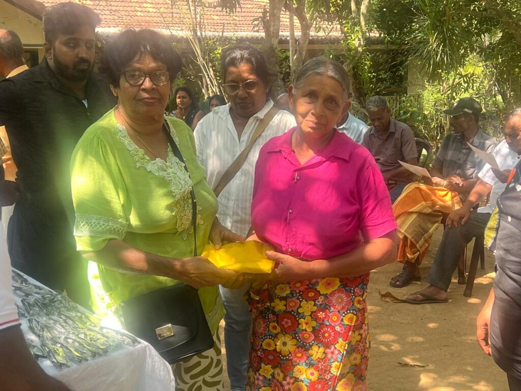 Welfare of Elderly Widows