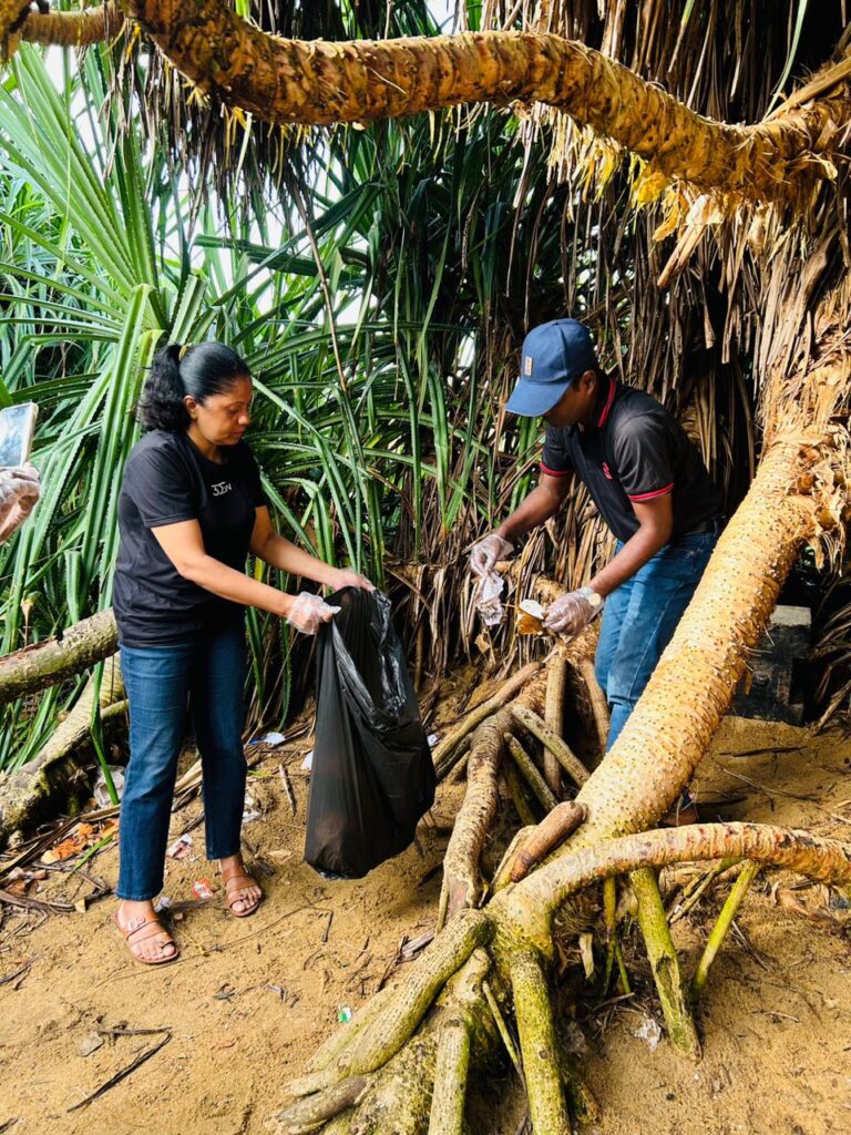 Environment / Climate Action
